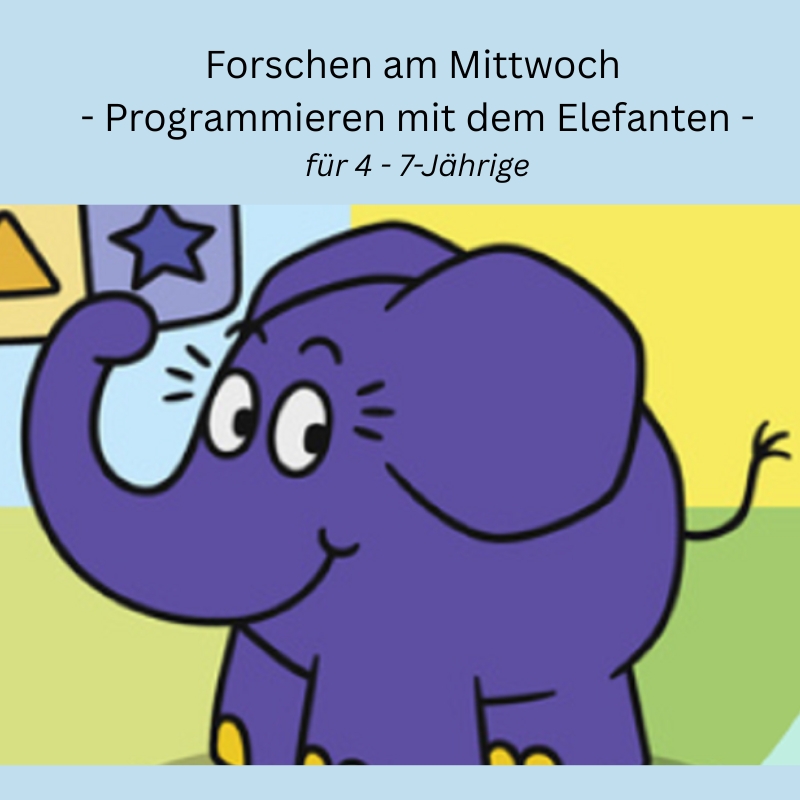 Programmieren mit dem Elefanten 800x800px